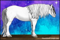 Horse Color:Black Splash Tobiano Appaloosa 