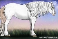 Horse Color:Gold Champagne Splash Tobiano Frame Snowflake Varnish 