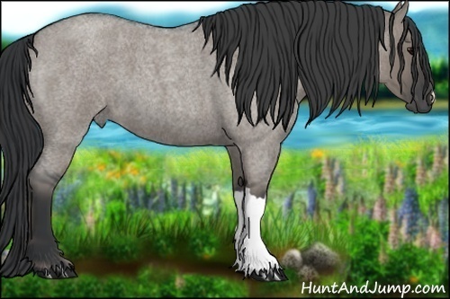 Horse Color: Grullo Roan 