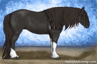 Horse Color:Liver Chestnut Tobiano 