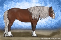 Horse Color:Silver Brown Sabino Splash