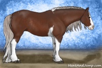 Horse Color:Silver Bay Splash Tobiano Rabicano 