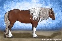 Horse Color:Silver Brown Tobiano Rabicano 