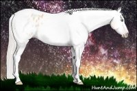 Horse Color:Gray Silver Amber Cream Champagne Roan Dun Splash Tobiano Frame Appaloosa Rabicano