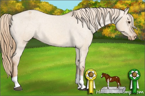 Horse Color: Red Dun Sabino Tobiano Varnish 