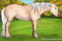 Horse Color:Silver Perlino 