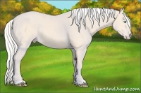 Horse Color:Silver Perlino 