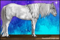 Horse Color:White Spotted Black Splash Tobiano Frame Varnish 