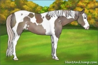 Horse Color:Silver Black Sabino Splash Tobiano 