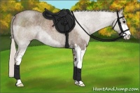 Horse Color:Silver Blue Roan Sabino Rabicano 