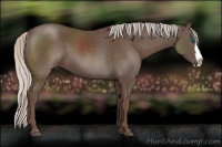Horse Color:Silver Black Sabino Splash 