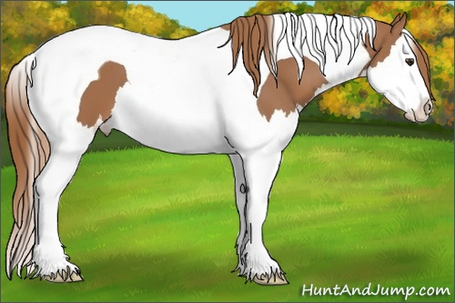 Horse Color: Chestnut Splash Tobiano 