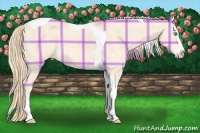 Horse Color:Plaid Perlino Splash Tobiano