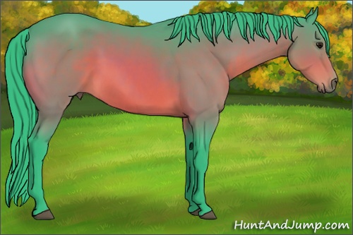 Horse Color: Watercolor Bay 