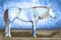 Horse Color:White Spotted Liver Chestnut Splash 