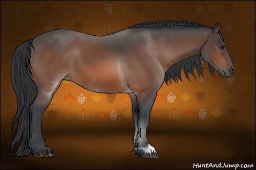 Horse Color: Brown 