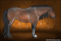 Horse Color:Brown 