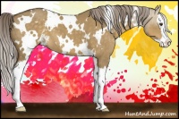 Horse Color:White Spotted Chocolate Palomino Dun Sabino Splash 