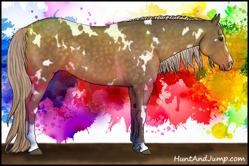 Horse Color:White Spotted Chocolate Palomino Sabino