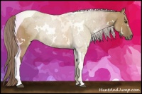 Horse Color:White Spotted Chocolate Palomino Dun Tobiano 