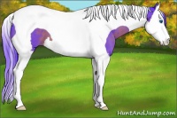 Horse Color:Watercolor Brown Splash Tobiano 