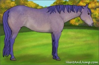 Horse Color:Watercolor Bay 