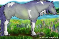 Horse Color:Watercolor Bay Tobiano Blanket 