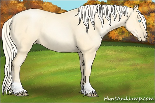 Horse Color: Palomino Pearl 
