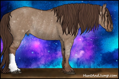 Horse Color: ERROR: UNKNOWN ANOMALY