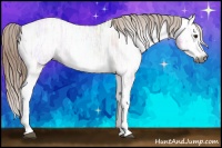 Horse Color:Gray Liver Red Dun Ice Splash Varnish 