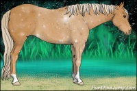 Horse Color:Palomino 