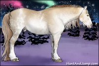 Horse Color:Gray White Spotted Gold Champagne Ice 