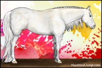 Horse Color:Silver Smoky Black Pearl Splash Appaloosa Rabicano