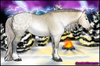 Horse Color:Gray White Spotted Silver Bay Ice Dun 