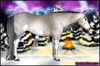 Horse Color:Gray Bay Ice 