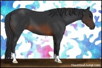 Horse Color:Brown 