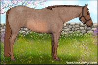 Horse Color:Red Roan 