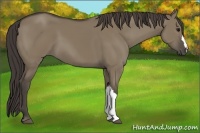 Horse Color:Smoky Grullo 