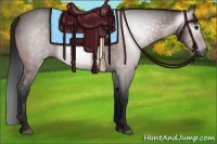 Horse Color:Gray Bay Roan 