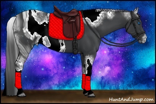 Horse Color: ERROR: UNKNOWN ANOMALY