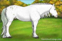 Horse Color:Watercolor Buckskin Ice Snowflake Varnish 