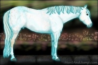 Horse Color:Gray Thunderstruck Watercolor Red Dun Roan Splash Blanket 