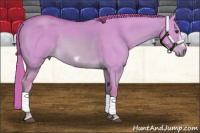 Horse Color:Watercolor Red Dun Frame 