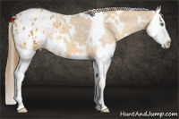 Horse Color:White Spotted Sable Cream Champagne Splash Appaloosa 
