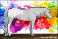 Horse Color:Watercolor Grullo Appaloosa 