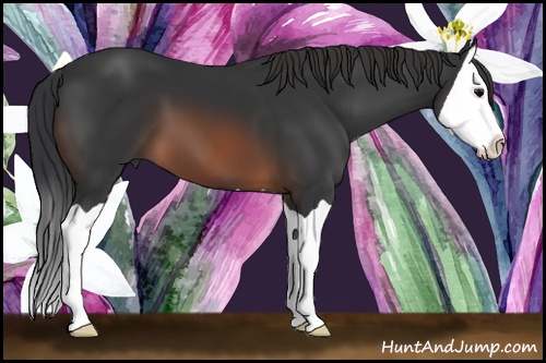 Horse Color:Brown Splash 
