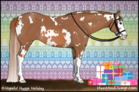 Horse Color:White Spotted Chestnut Splash 