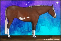 Horse Color:Silver Brown Splash Frame
