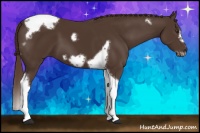 Horse Color:Liver Chestnut Tobiano Frame 