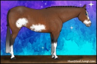 Horse Color:Buckskin Sabino Splash Frame 
